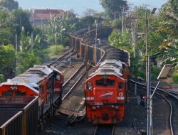 Warga Bekri Tewas Tertabrak Kereta Api Babaranjang