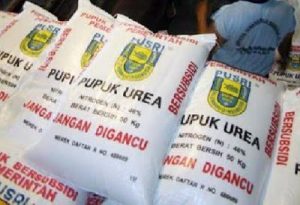 Jatah Pupuk Subsidi Lampung Utara Bertambah 15 Ton