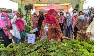 Walikota Bandarlampung Buka Bazar Bunga Hias
