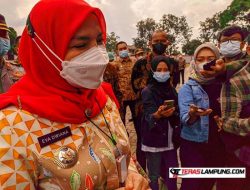 Oknum Pegawai Pemkot Bandarlampung Penganiaya Warga akan Diberi Sanksi