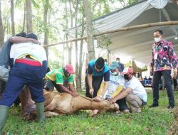 Universitas Lampung Bagikan Daging 29 Ekor Hewan Kurban