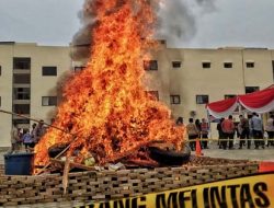 Polda Lampung – Polres Lamsel Bakar Narkoba Bernilai Miliaran Rupiah