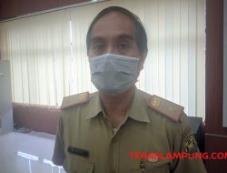 18 Gerai Bakso Sony Bisa Buka Lagi Asal Pemiliknya Mau Tandatangani Pakta Integritas…