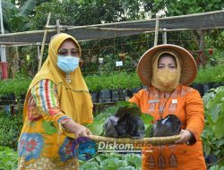 Pemkab Lamteng Torehkan Prestasi Nasional dan Provinsi