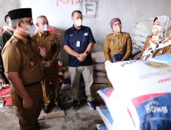 Wagub Lampung Mengecek Stok Pupuk dan Pestisida