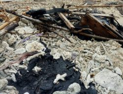 Pencemaran di Pantai Kunjir, Walhi Lampung Minta Polisi Tegas