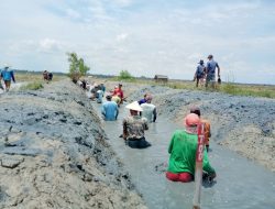 Program PITAP, Petambak Pematang Pasir Lamsel Kini Lakukan Budidaya Sepanjang Tahun