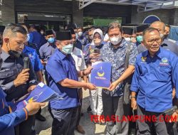 DPW Nasdem Lampung Bagikan 500 Ton Pupuk Organik