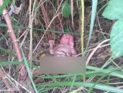 Bayi Hidup Dibuang di Kebun Singkong di Bandarlampung