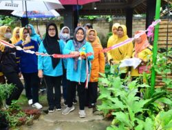 Mardiana Musa Ahmad Resmikan Kebun FKWT Berjaya Kampung Gaya Baru V