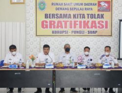 Bupati Lamteng Cek Fasilitas RSUD Demang Sepulau Raya