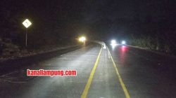 Satu Dasawarsa Tanpa Perbaikan, Jalinsum Lampung Masih Gelap dan Membahayakan Pemudik