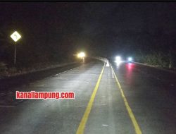 Satu Dasawarsa Tanpa Perbaikan, Jalinsum Lampung Masih Gelap dan Membahayakan Pemudik